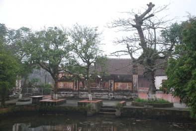 Quan làng và nông dân